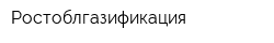 Ростоблгазификация