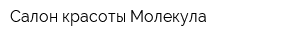 Салон красоты Молекула