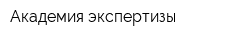Академия экспертизы