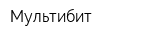 Мультибит
