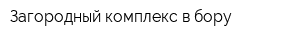 Загородный комплекс в бору