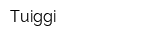 Tuiggi