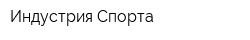 Индустрия Спорта