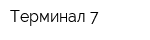 Терминал 7