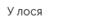 У лося