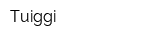 Tuiggi