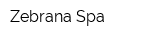 Zebrana-Spa