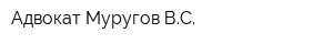 Адвокат Муругов ВС