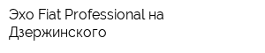 Эхо Fiat Professional на Дзержинского