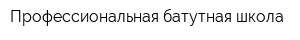 Профессиональная батутная школа