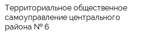 Территориальное общественное самоуправление центрального района   6