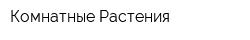 Комнатные Растения