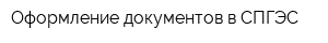Оформление документов в СПГЭС