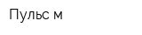 Пульс-м
