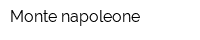 Monte napoleone