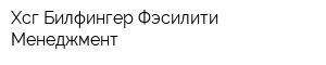Хсг Билфингер Фэсилити Менеджмент