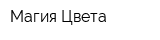 Магия Цвета