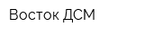 Восток-ДСМ