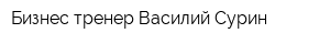 Бизнес-тренер Василий Сурин