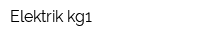 Elektrik-kg1