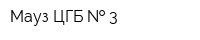 Мауз ЦГБ   3