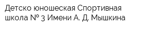 Детско-юношеская Спортивная школа   3 Имени А Д Мышкина