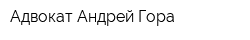Адвокат Андрей Гора