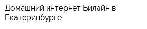 Домашний интернет Билайн в Екатеринбурге