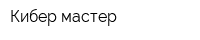 Кибер-мастер