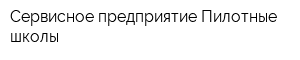 Сервисное предприятие Пилотные школы