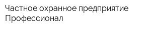 Частное охранное предприятие Профессионал