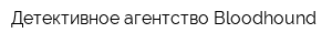 Детективное агентство Bloodhound