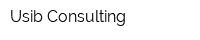 Usib Consulting