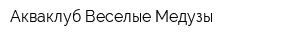 Акваклуб Веселые Медузы