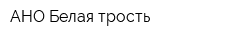 АНО Белая трость