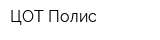ЦОТ Полис