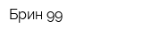 Брин-99