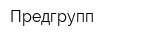 Предгрупп