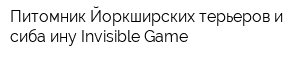 Питомник Йоркширских терьеров и сиба-ину Invisible Game