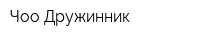 Чоо Дружинник