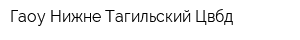 Гаоу Нижне-Тагильский Цвбд