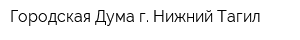 Городская Дума г Нижний Тагил