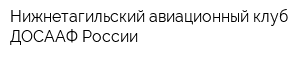 Нижнетагильский авиационный клуб ДОСААФ России