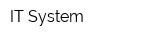 IT System