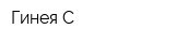 Гинея С