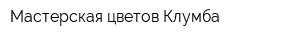 Мастерская цветов Клумба