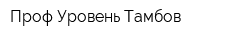 Проф Уровень Тамбов