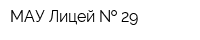 МАУ Лицей   29