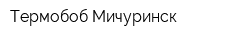 Термобоб Мичуринск