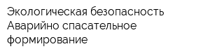 Экологическая безопасность Аварийно-спасательное формирование